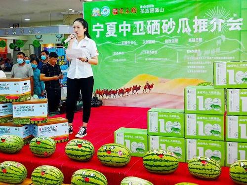 超市吃瓜活动 第2张 超市吃瓜活动 第2张